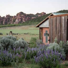 Bild von Lazalu, Zion Retreat