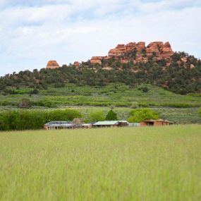 Bild von Lazalu, Zion Retreat