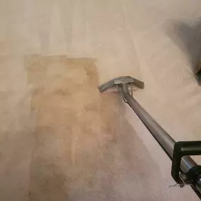 Bild von Archer Carpet and Tile Cleaning