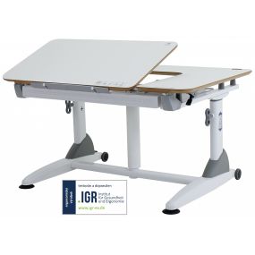 Stůl s elegantním a nadčasovým designem, který prošel testem v německé zkušebně pro zdraví a ergonomii IGR (Institut für Gesundheit und Ergonomie).