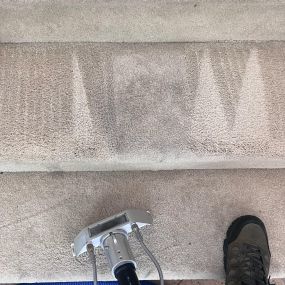carpet cleaning company in Chandler, AZ