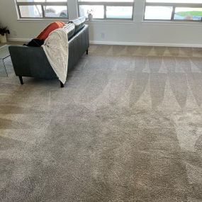 Carpet cleaning in Fountain Hills, Arizona