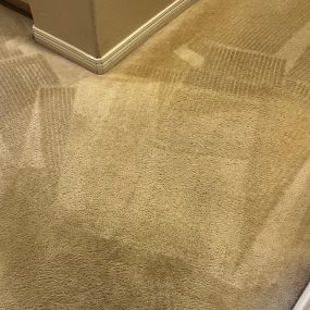 Carpet cleaning services in Scottsdale, Arizona
