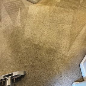 Carpet cleaning service in Paradise Valley, Arizona