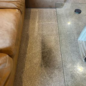 carpet stain removal and cleaning in Scottsdale, Arizona