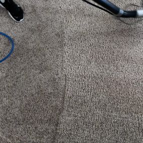 Carpet cleaning company in North Scottsdale, Arizona