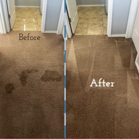 Carpet cleaning before and after in Anthem, Arizona
