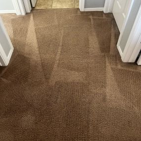 Carpet cleaner in Anthem, Arizona
