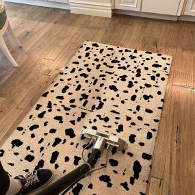 rug cleaning in Scottsdale