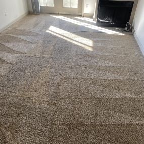 Carpet cleaning company in Scottsdale, Arizona