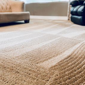 Professional Carpet Cleaner Services in Scottsdale, AZ