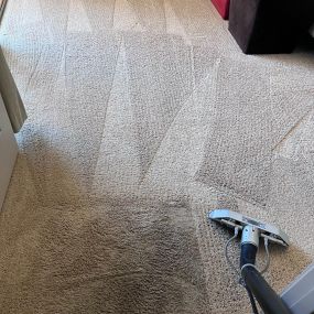 carpet cleaning company in South Scottsdale
