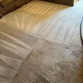 carpet cleaning services in Scottsdale and surrounding areas