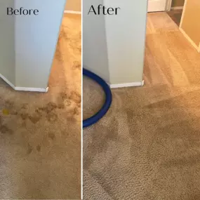 Carpet cleaning company in Scottsdale, Arizona