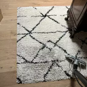 area rug cleaning