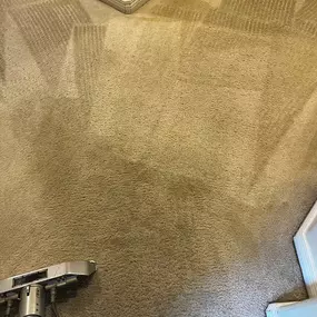 Carpet cleaning service in Paradise Valley, Arizona