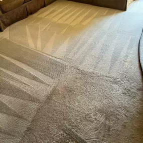 carpet cleaning services in Scottsdale and surrounding areas