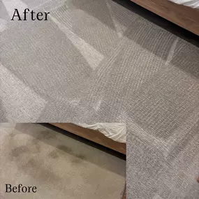 Carpet stain removal in Scottsdale, Arizona