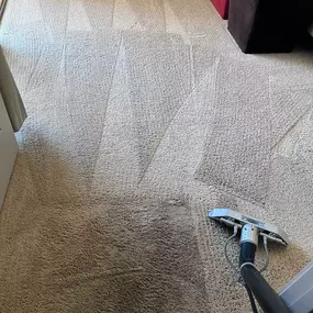 carpet cleaning company in South Scottsdale