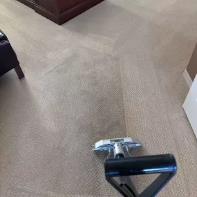 Professional carpet cleaning services in Rio Verde, Arizona