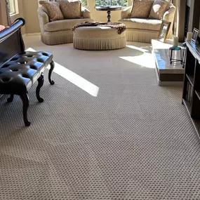 Scottsdale carpet cleaning company