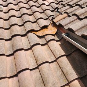 Bild von Xpert Roofing Services