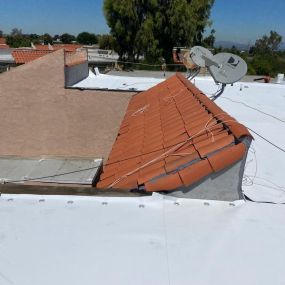 Bild von Xpert Roofing Services