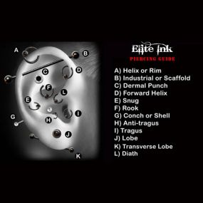 Elite Ink Tattoo Studios of Metro Detroit   Ear Piercing Guide/Chart