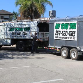 Any Town Tree - Professional Tree Service Company in Naples, FL