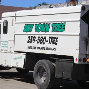 Any Town Tree - Professional Tree Service Company in Naples, FL
