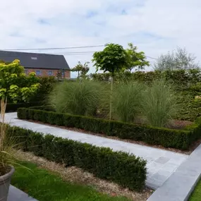 allée de jardin Scius