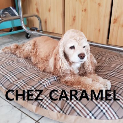 Logo od Chez Caramel