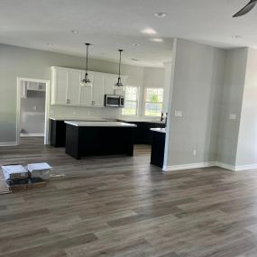 Living Room Kitchen Remodel