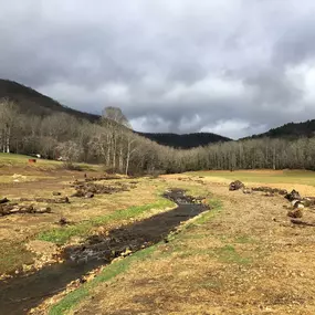 Landscape design near Asheville North Carolina.