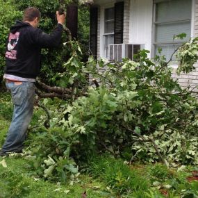 Call now for a tree trimming service!