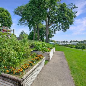 Bild von Lake Minnetonka Shores