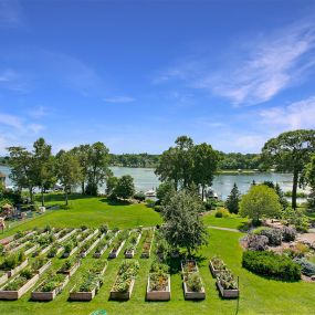 Bild von Lake Minnetonka Shores