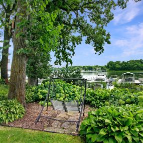 Bild von Lake Minnetonka Shores