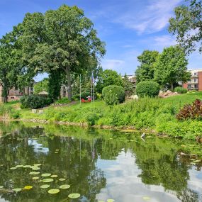 Bild von Lake Minnetonka Shores