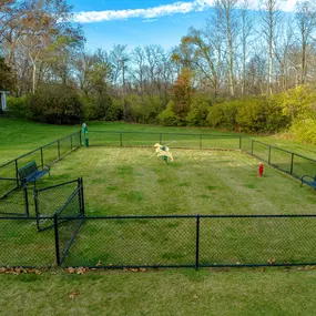 Dog Park