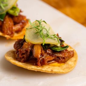 Pecking Duck Tostada