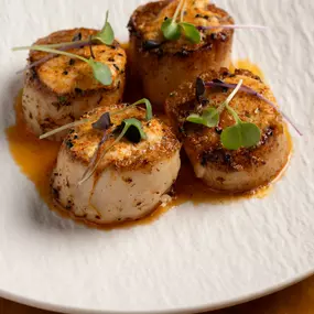 Seared Scallops