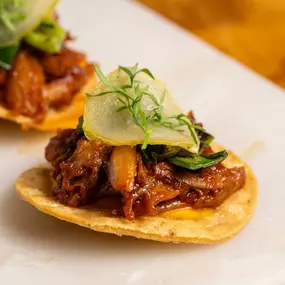 Pecking Duck Tostada