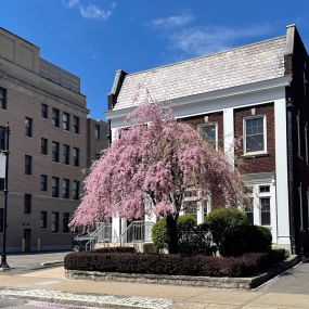 Bild von The Honesdale National Bank