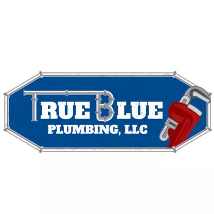 Logo van True Blue Plumbing LLC