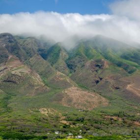 Bild von Hotel Molokai