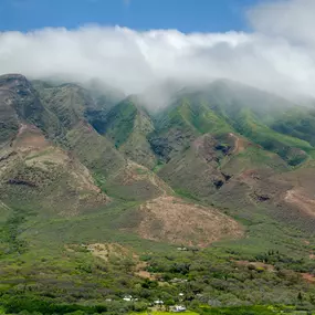 Bild von Hotel Molokai