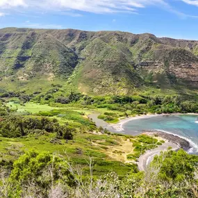 Bild von Hotel Molokai