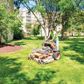 Bild von Southwest Landscape Management