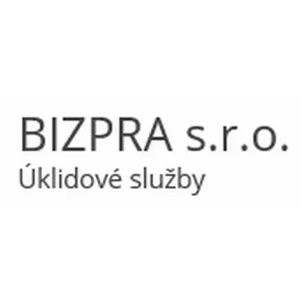 Logo von BIZPRA s.r.o.